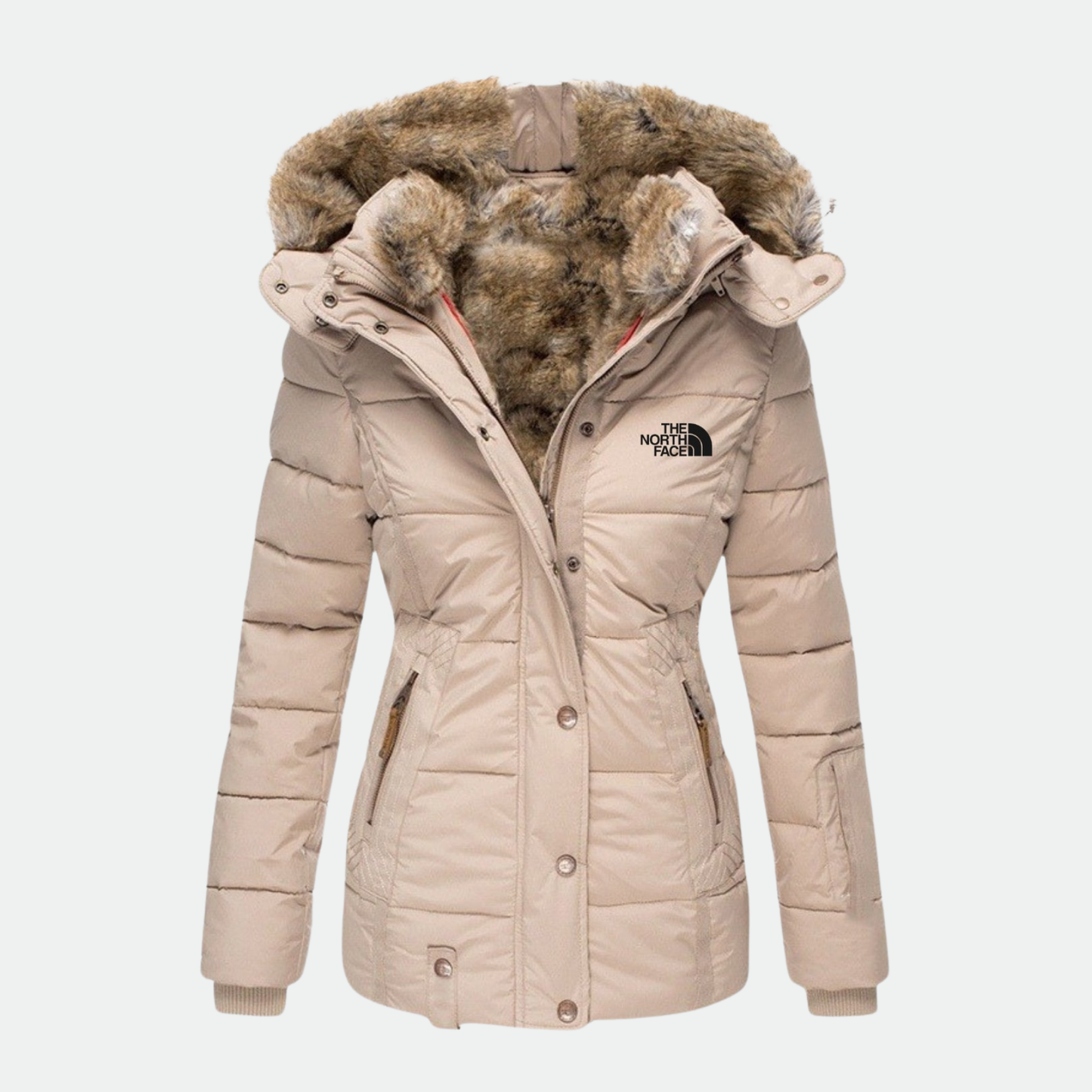 Elegance and Stylish Jacket